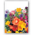 Old Fashioned Simply Floral Seed Packets - Imprinted